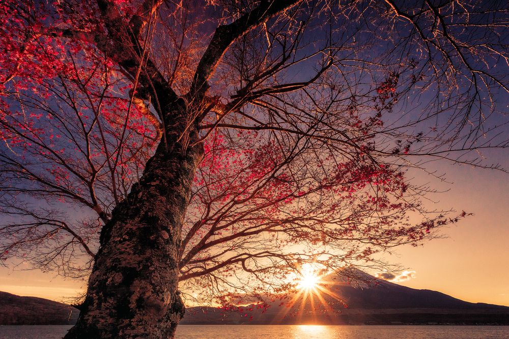 Photograph by Camacho Anto