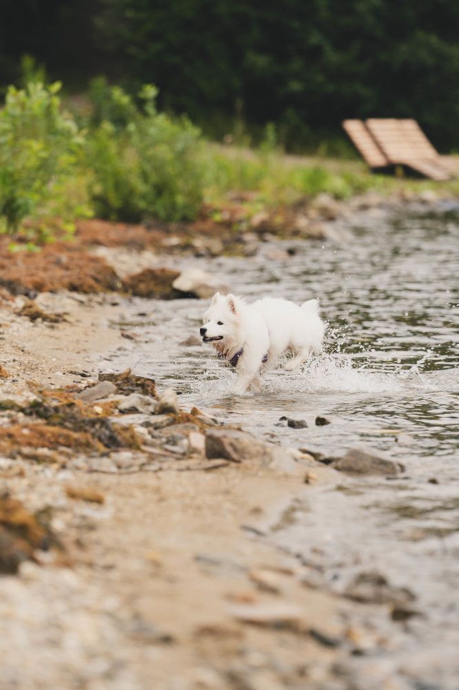 Photograph by Иван Кривоносов