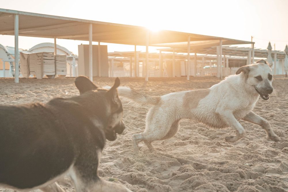 Photograph by Иван Кривоносов