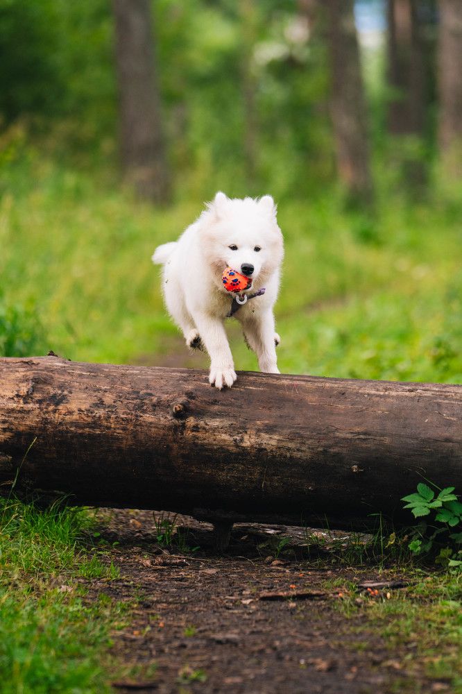 Photograph by Иван Кривоносов