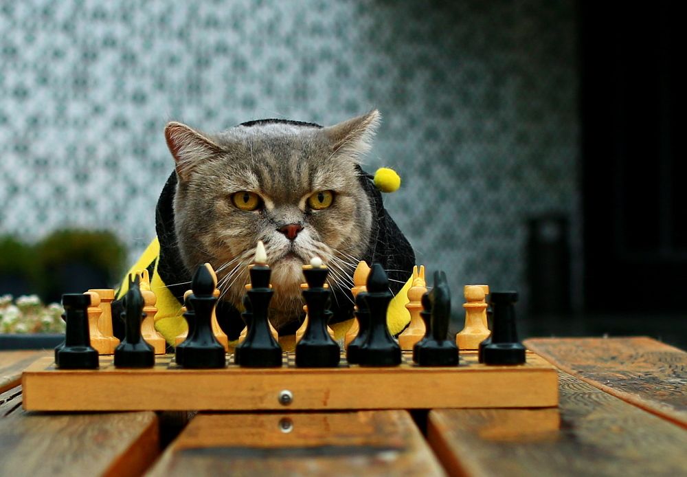 Photograph by Леонид Уральский