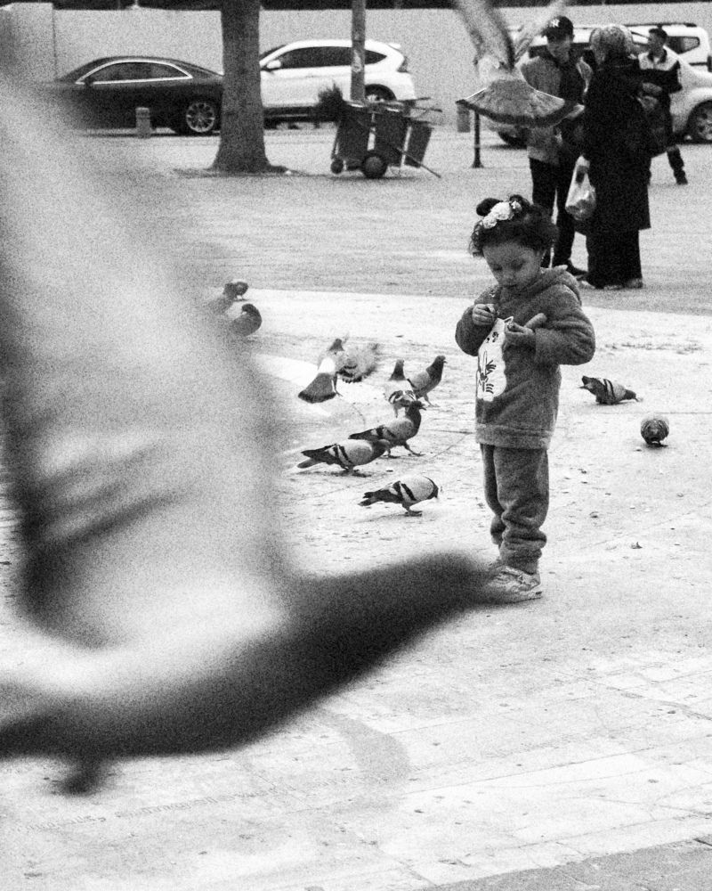 Photograph by Veysel Kula