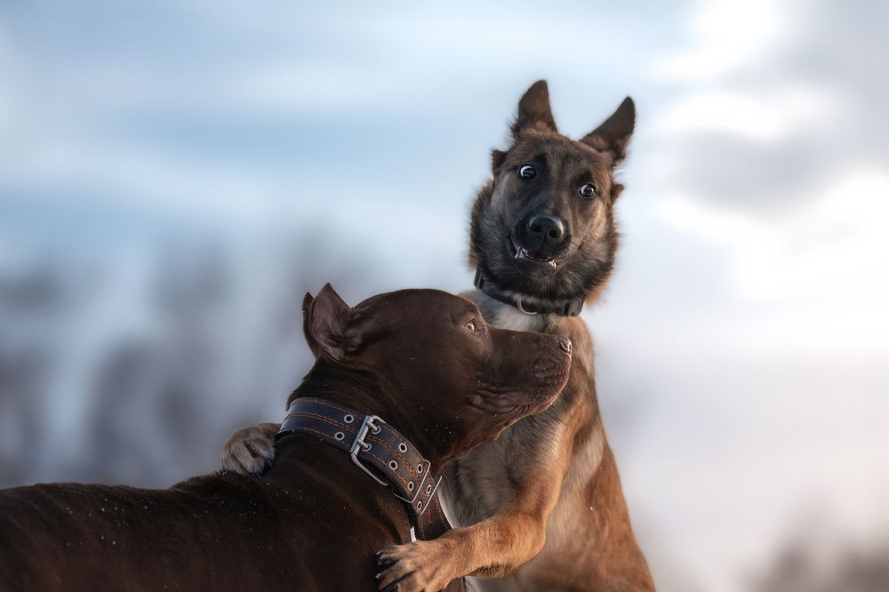 Photograph by Nephotograph