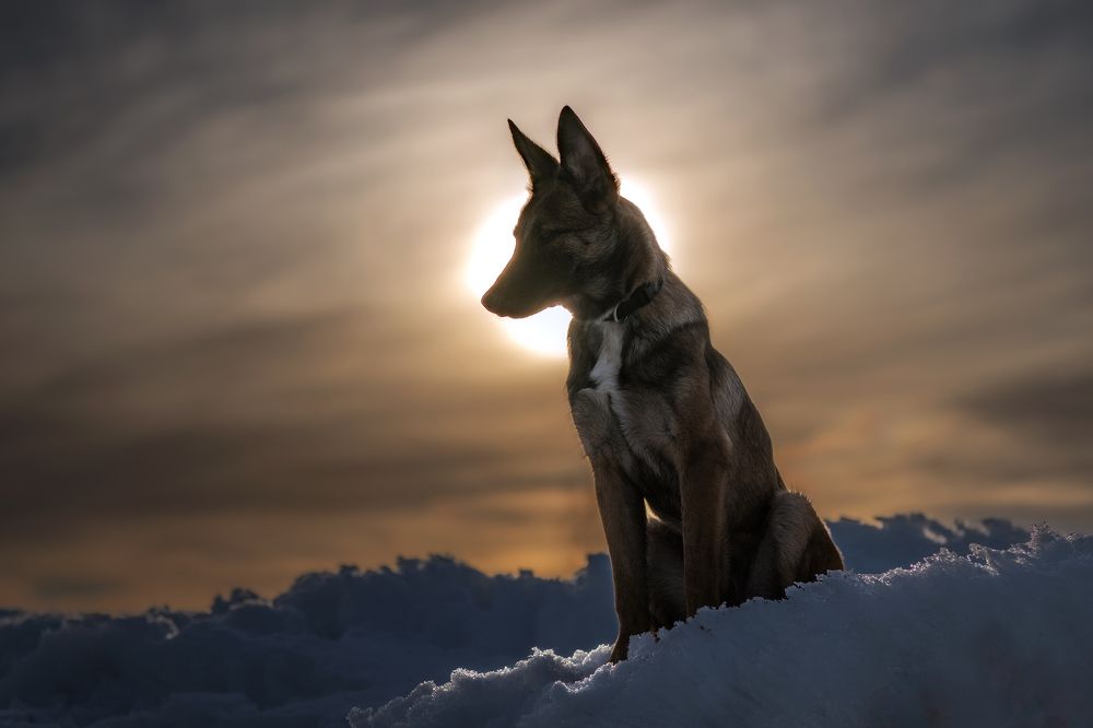 Photograph by Nephotograph