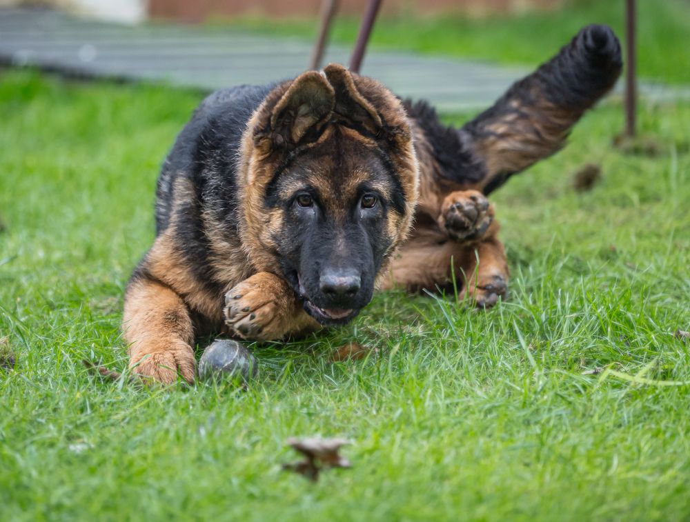 Photograph by Александр