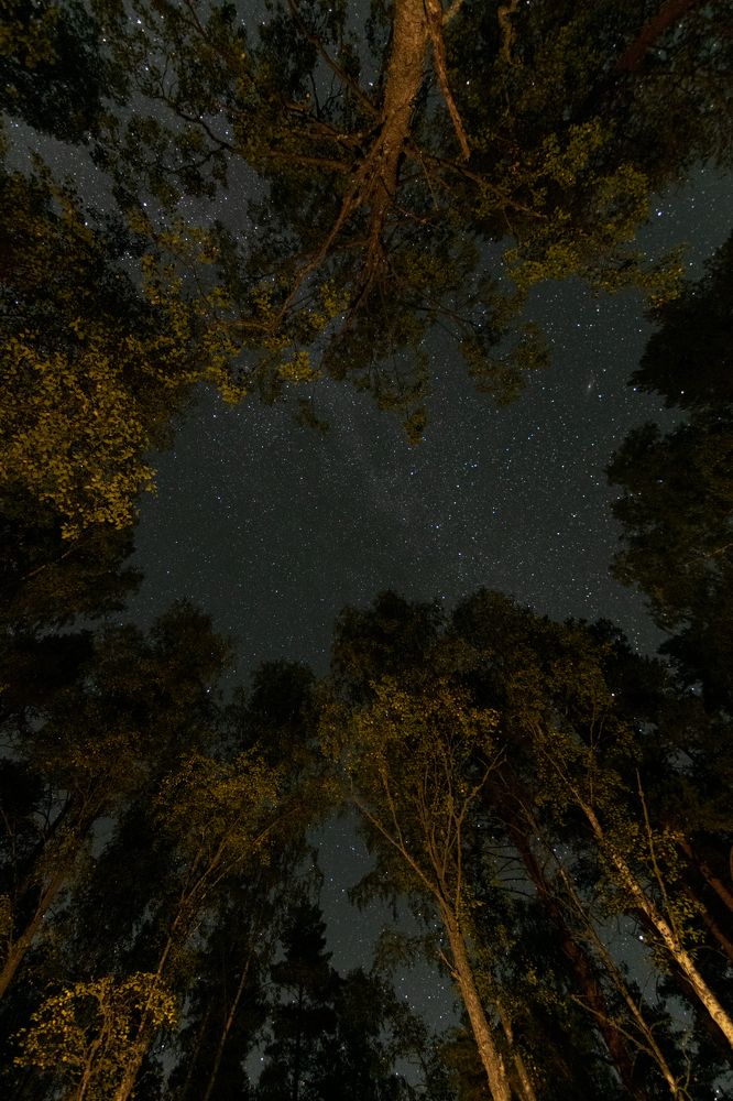 Photograph by Alexey Tarasov