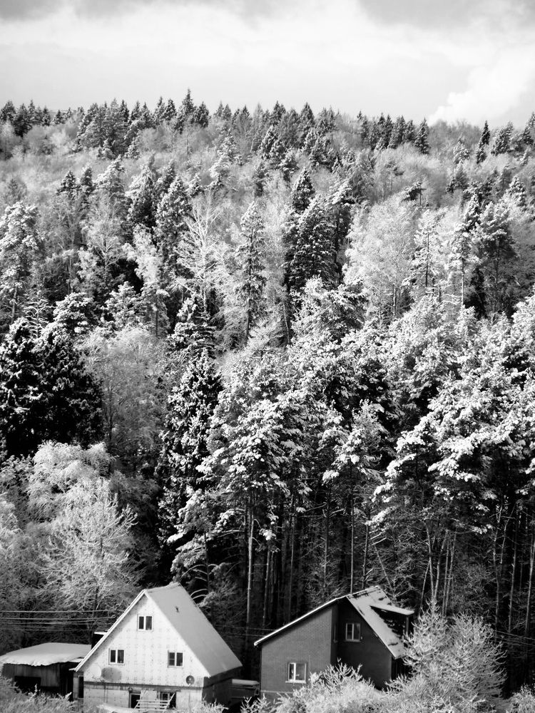 Photograph by Олеся Семенова