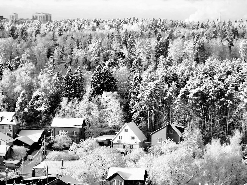 Photograph by Олеся Семенова