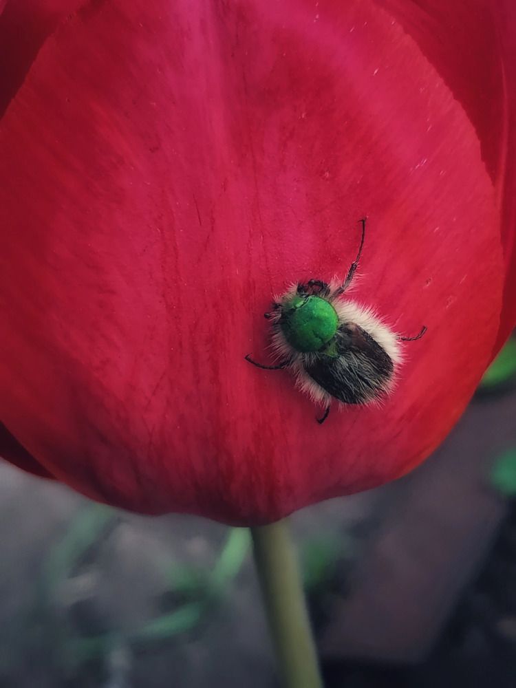 Photograph by Анжелика