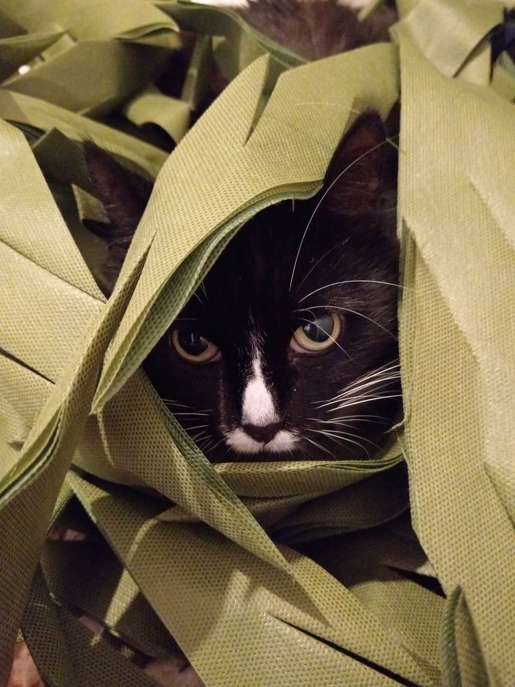 Photograph by Юлия Локалова