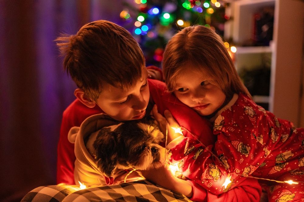 Photograph by Анастасия Косякова