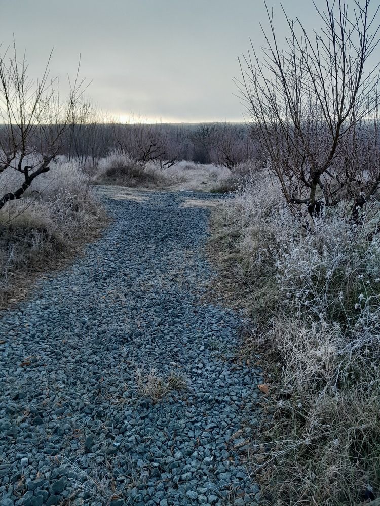 Синяя земля, белая трава...