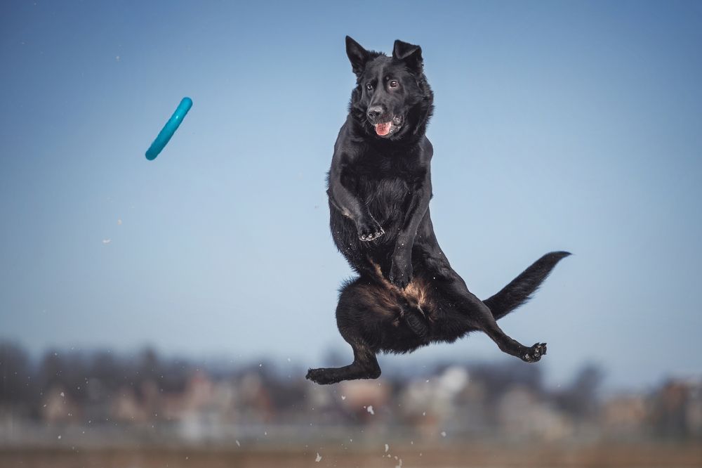 Photograph by Яна Нарбутович