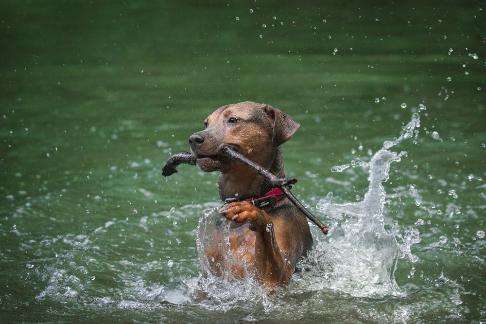 Photograph by Юлия Карташёва