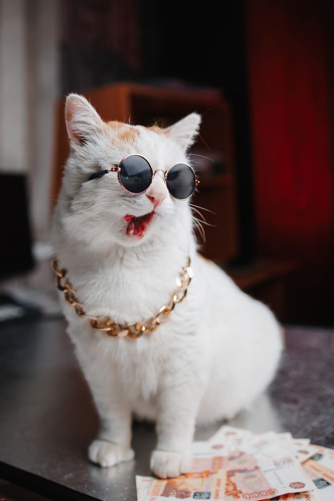 Фотография автора Valeriya Trushcheva