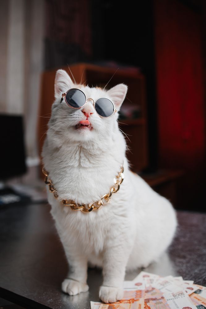 Фотография автора Valeriya Trushcheva