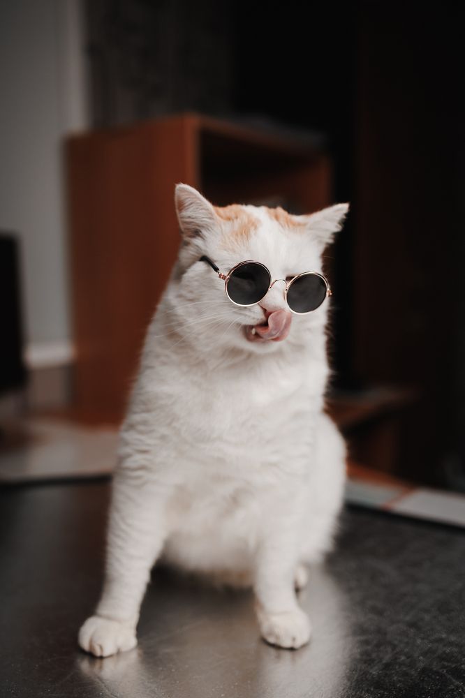 Фотография автора Valeriya Trushcheva