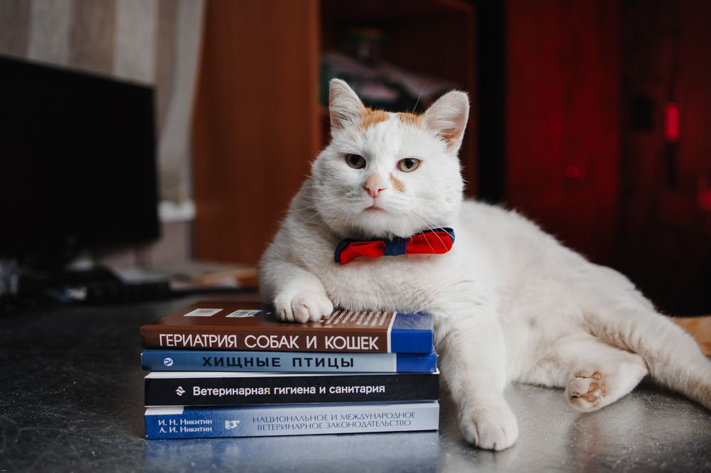 Фотография автора Valeriya Trushcheva