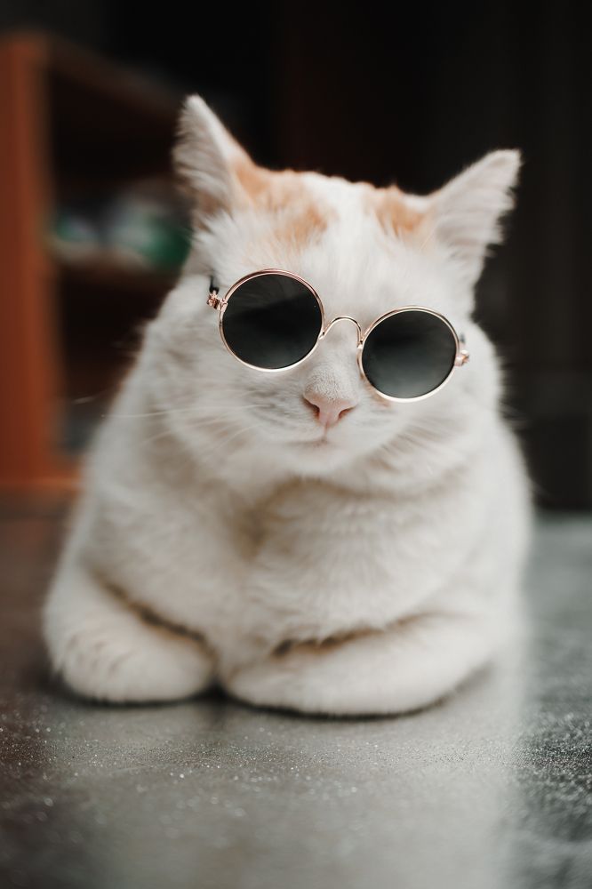 Фотография автора Valeriya Trushcheva