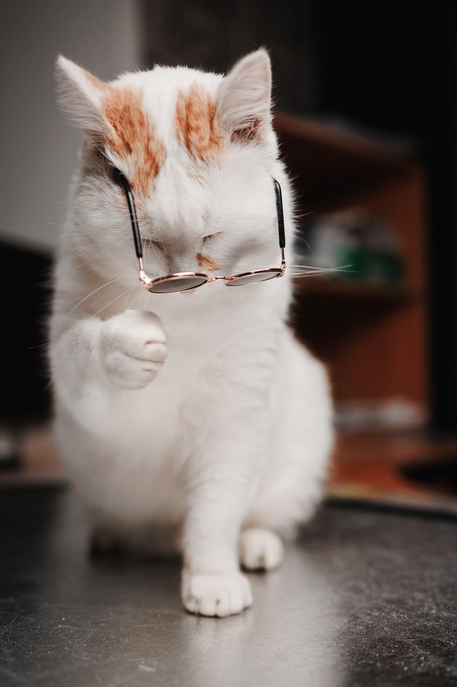 Фотография автора Valeriya Trushcheva