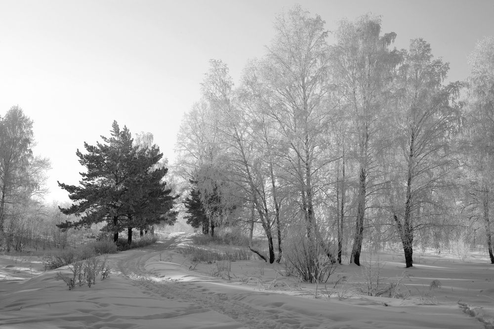 Photograph by Панюшкин Андрей