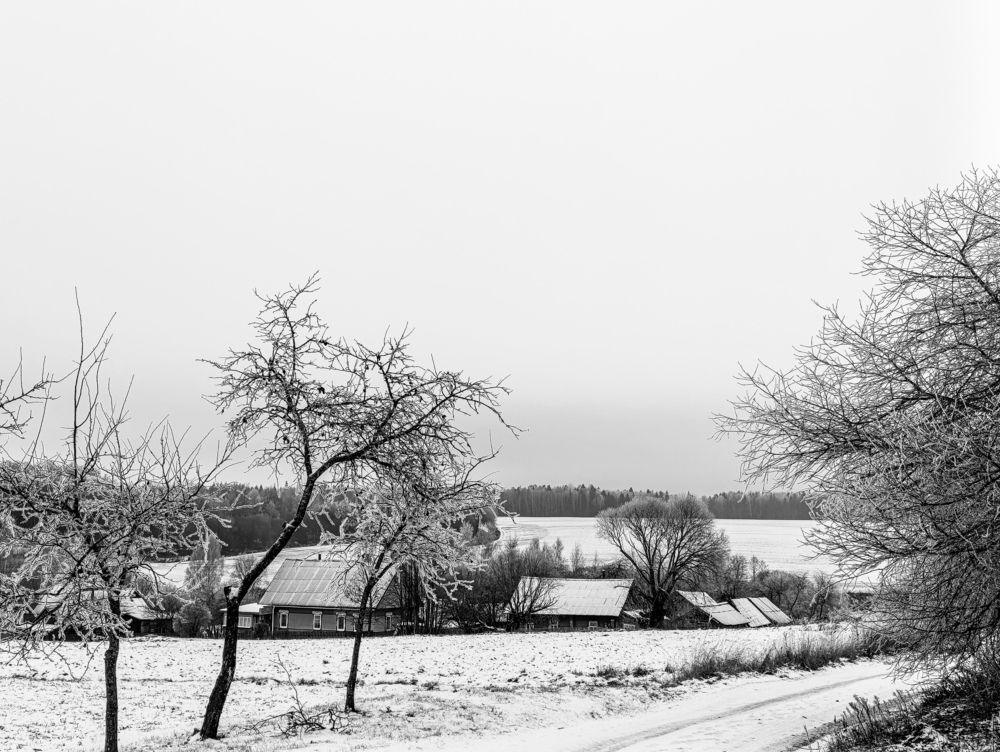 Photo #11577873
