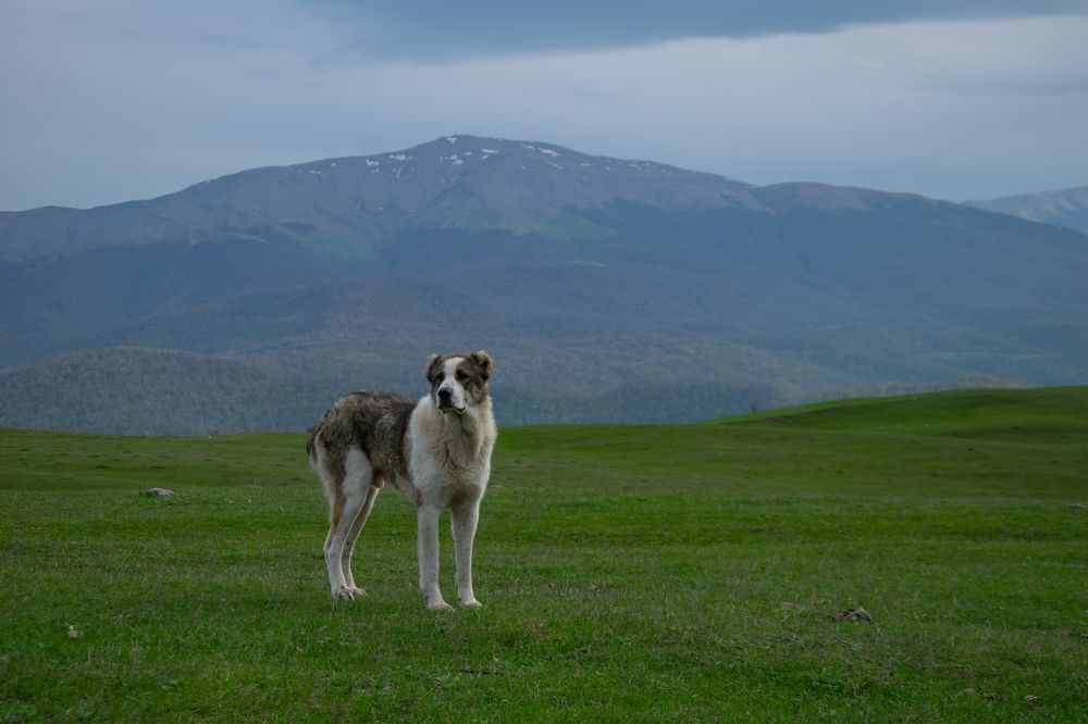Photograph by Alexey Tarasov