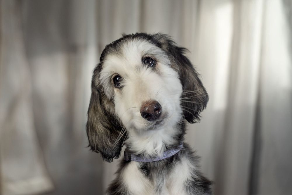 Фотография автора Екатерина Полякова