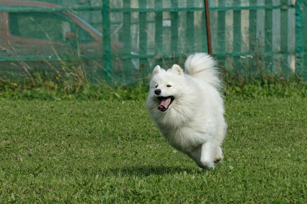 Photograph by Карина Заводчикова