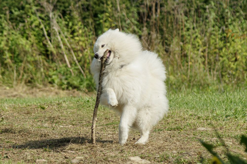 Photograph by Карина Заводчикова