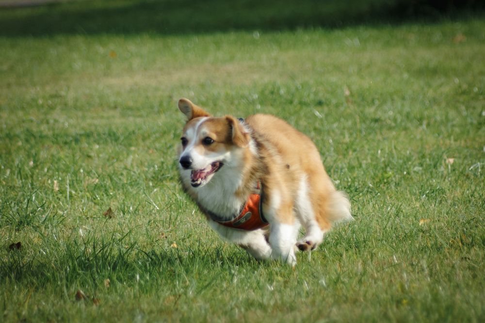 Photograph by Карина Заводчикова