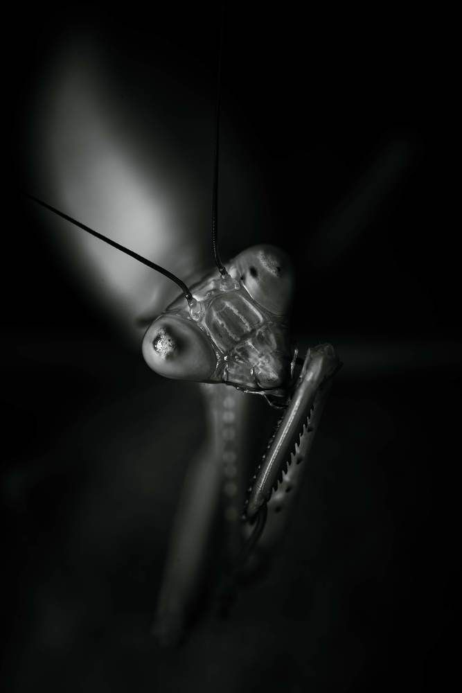 Фотография автора Margarita Naumchyk