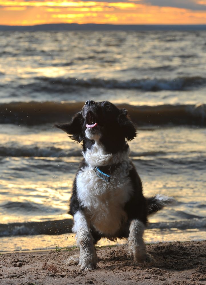 Photograph by Алексей Volg