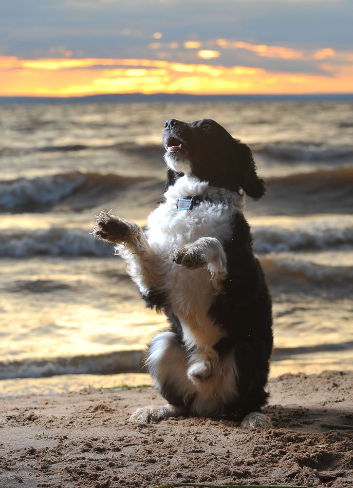 Photograph by Алексей Volg