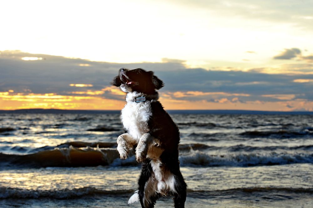 Photograph by Алексей Volg