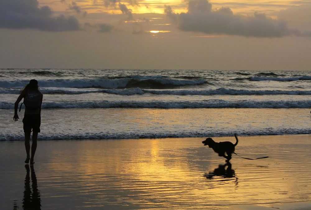 Photograph by Rajesh Sheth