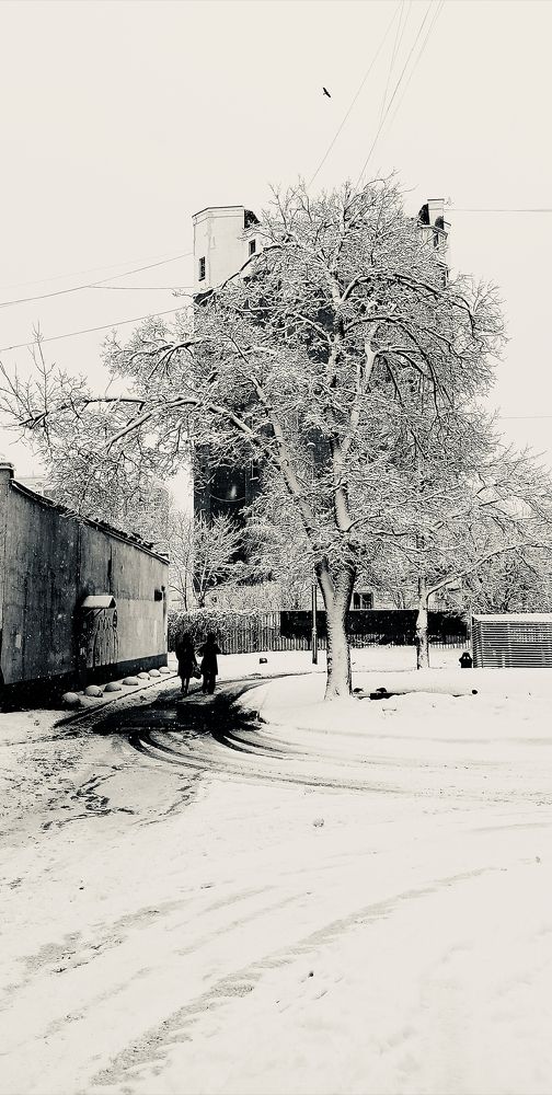 Фотография автора Аркадий Коновалов