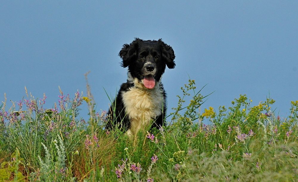 Photograph by Алексей Volg