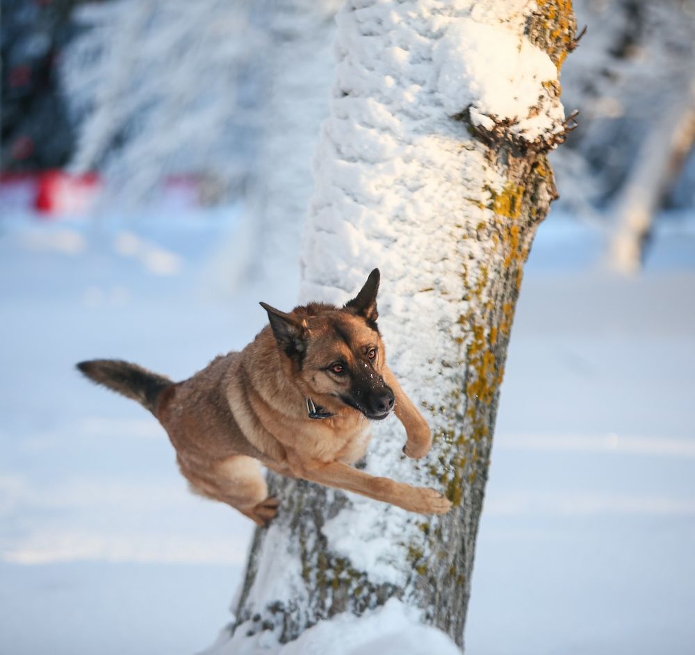 Photograph by Татьяна Сагарева