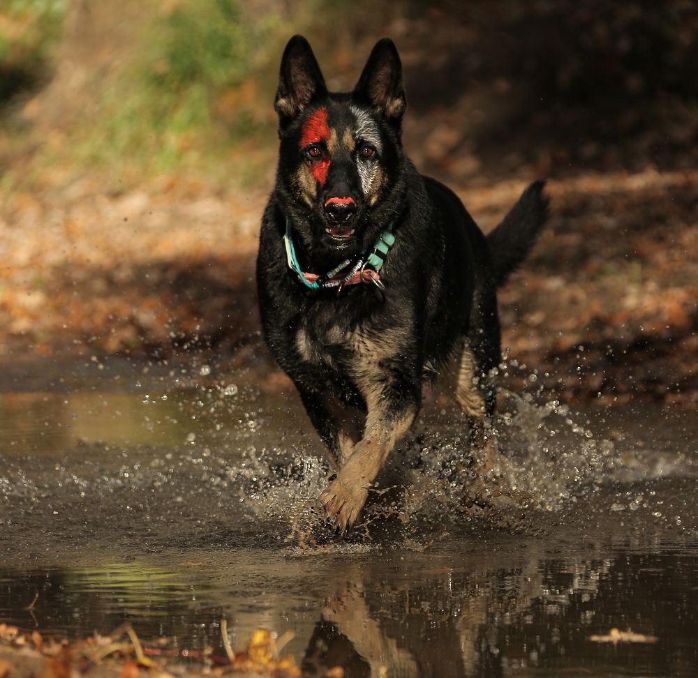 Photograph by Татьяна Сагарева