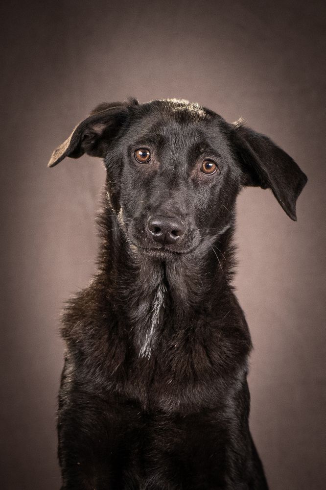 Photograph by Ольга Пачина