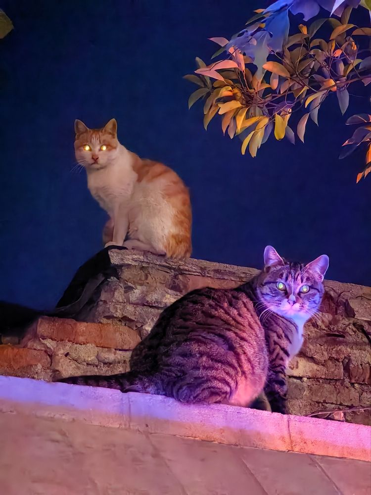 Photograph by Игорь Крыжко