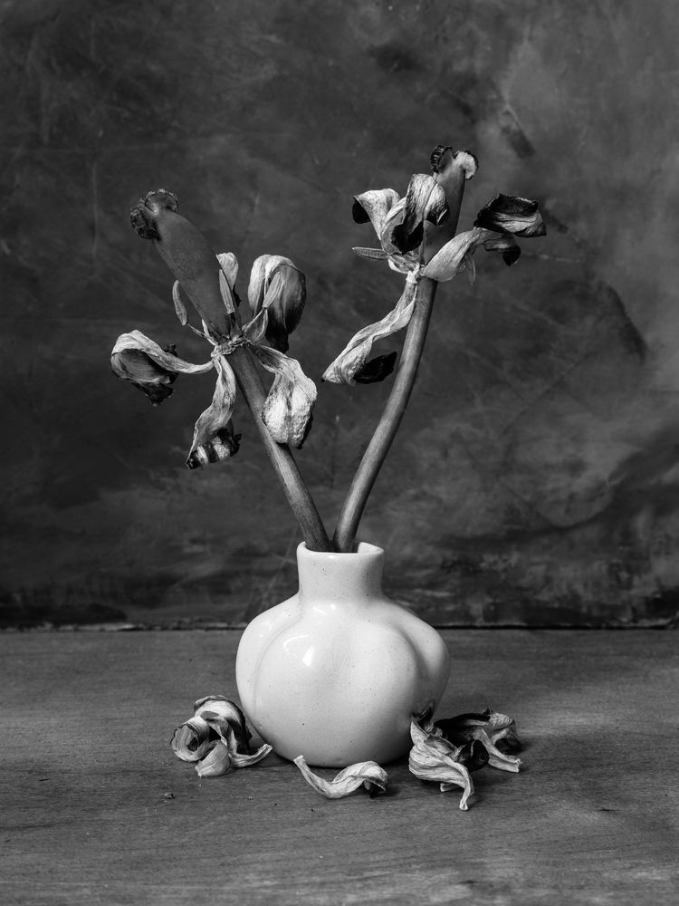 Photograph by Сергей Алексеев