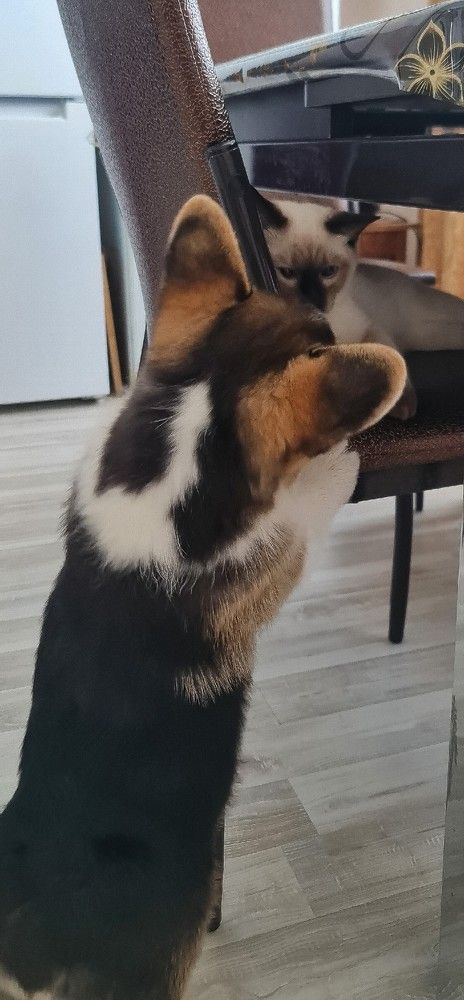 Photograph by Natasha Kim