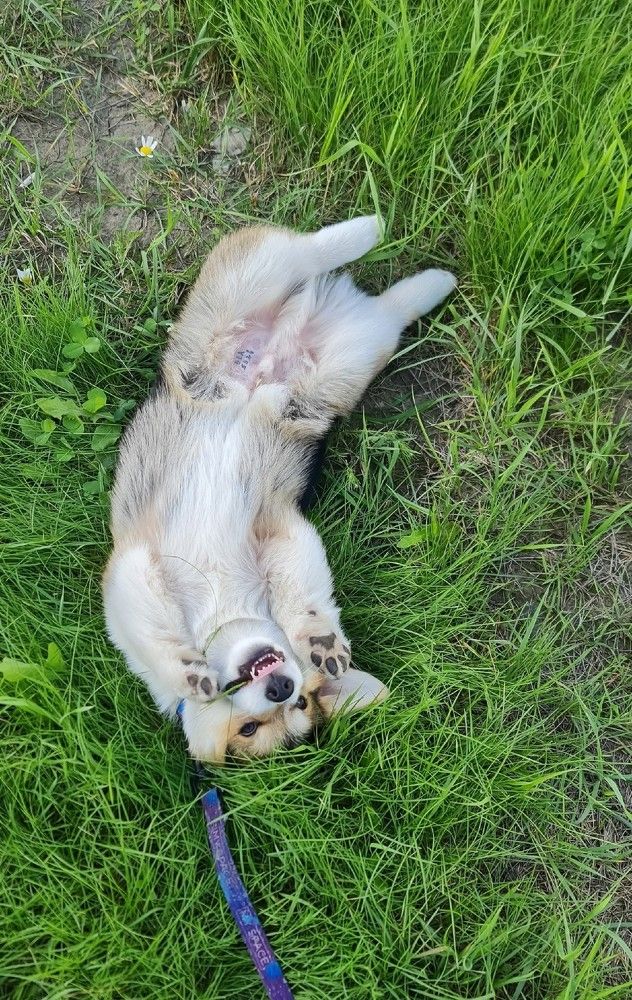 Photograph by Natasha Kim