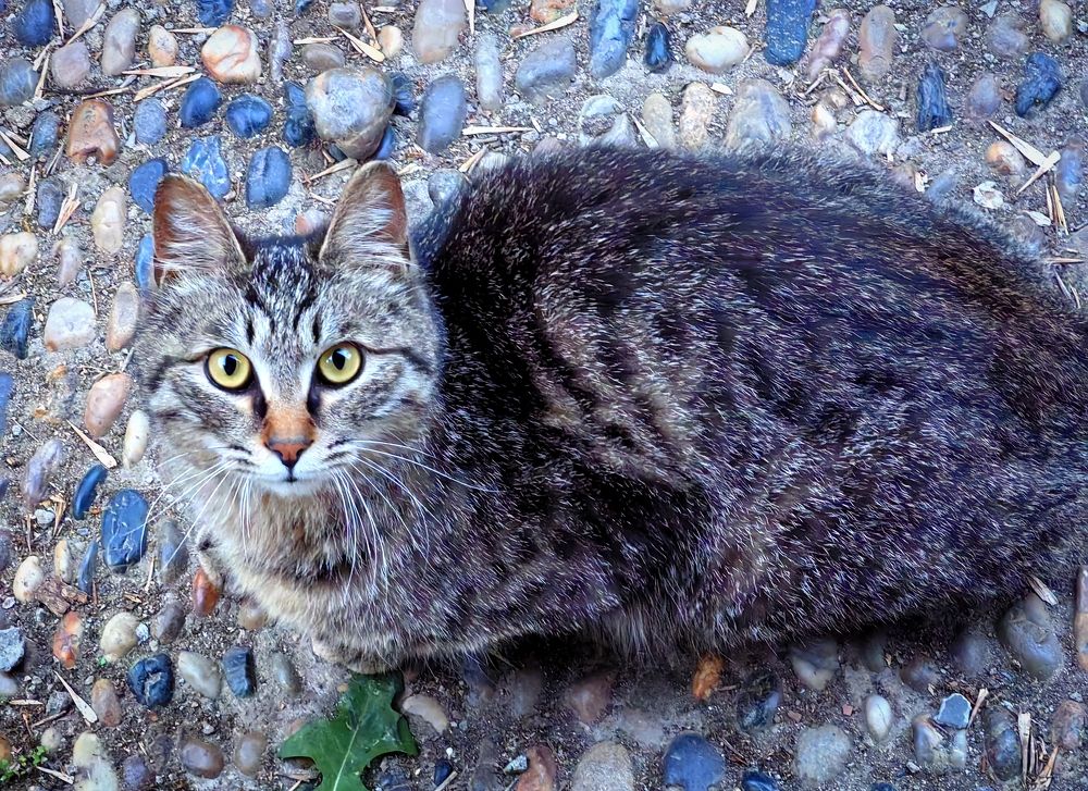 Photograph by Игорь Крыжко