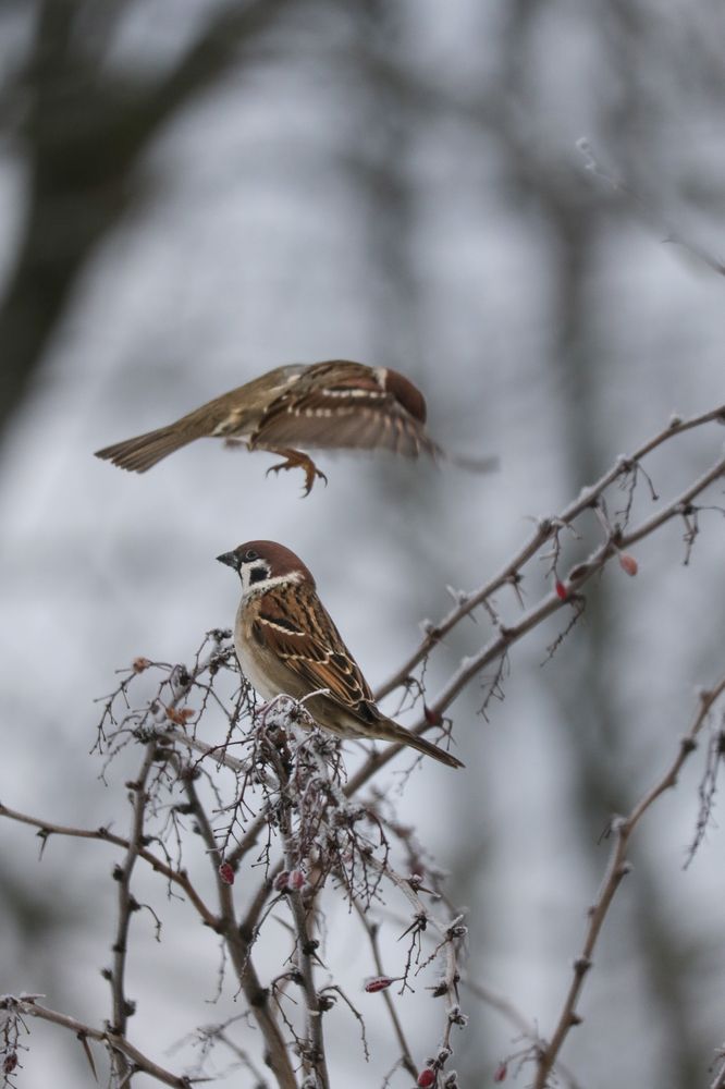 Photograph by Надежда Зайцева