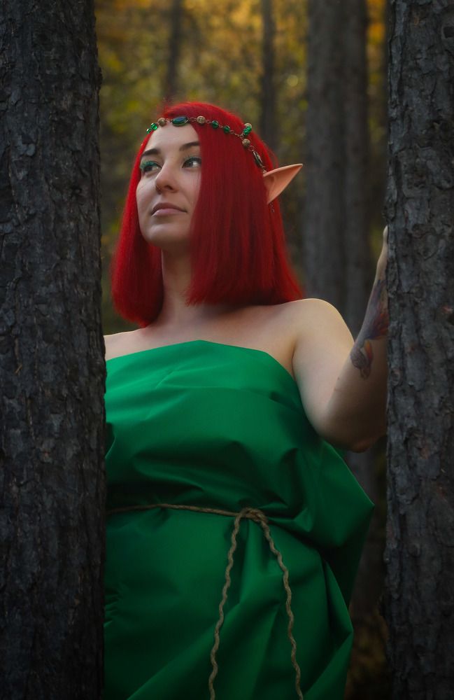 Принцесса эльфов