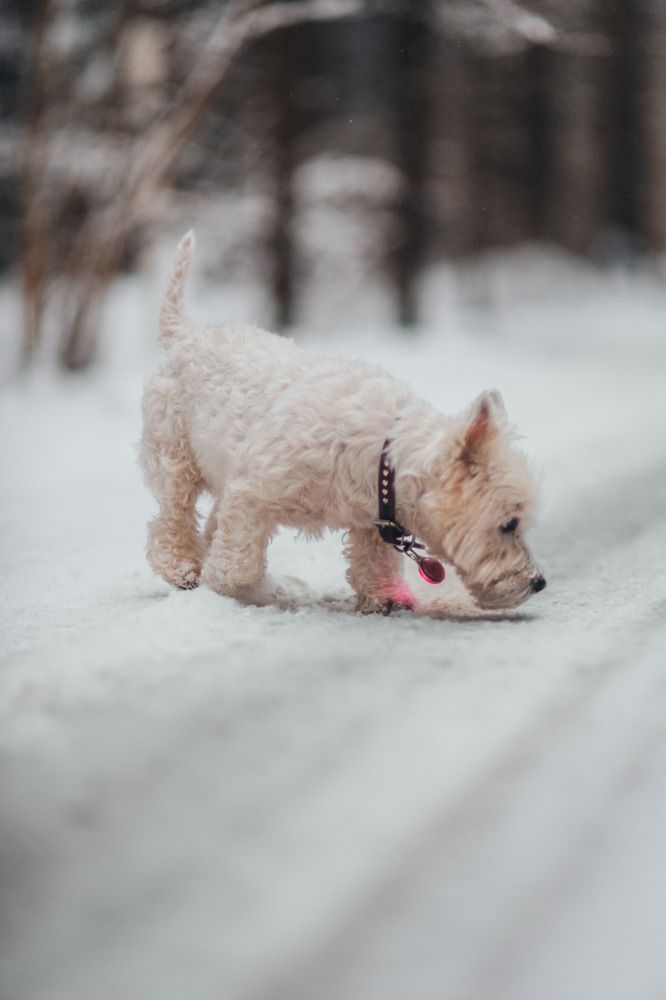 Photograph by Антон Киптиков