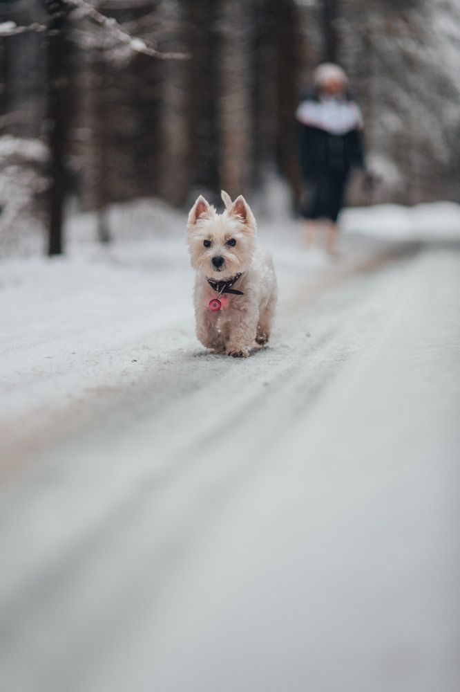 Photograph by Антон Киптиков